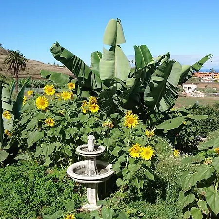Apartamento Glorieta Casa Inmersa En Un Entorno Natural Puerto de la Cruz (Tenerife)