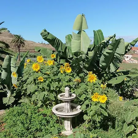 Apartamento Glorieta Casa Inmersa En Un Entorno Natural *