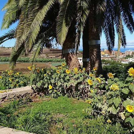 Glorieta Casa Inmersa En Un Entorno Natural