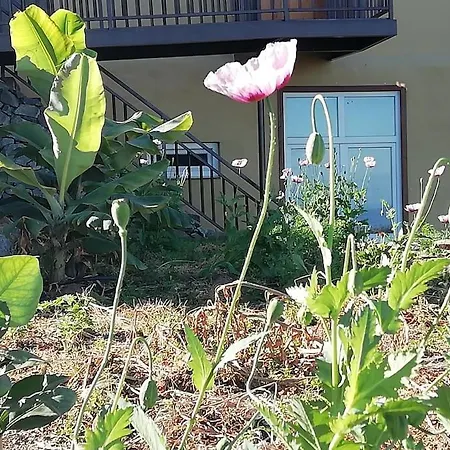 Apartamento Glorieta Casa Inmersa En Un Entorno Natural *
