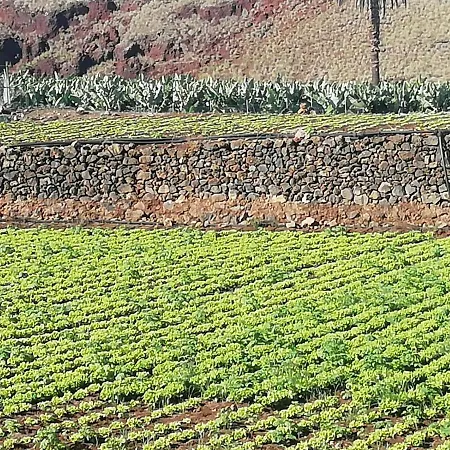 Glorieta Casa Inmersa En Un Entorno Natural * Puerto de la Cruz (Tenerife)