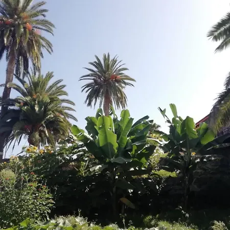 Glorieta Casa Inmersa En Un Entorno Natural * Puerto de la Cruz (Tenerife)