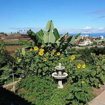 Glorieta Casa Inmersa En Un Entorno Natural *