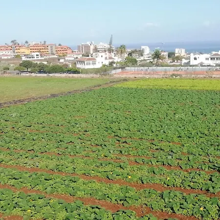 Apartamento Glorieta Casa Inmersa En Un Entorno Natural Puerto de la Cruz (Tenerife)