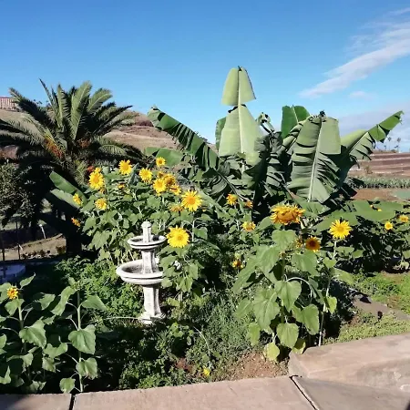 Apartamento Glorieta Casa Inmersa En Un Entorno Natural *