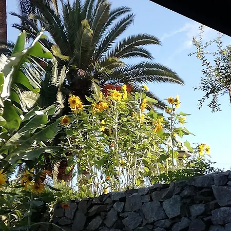 Glorieta Casa Inmersa En Un Entorno Natural * Puerto de la Cruz (Tenerife)